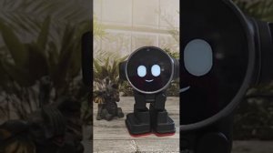 Умный робот Ракс помощник с искусственным интеллектом