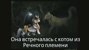 || Коты Воители || История Кленовницы~