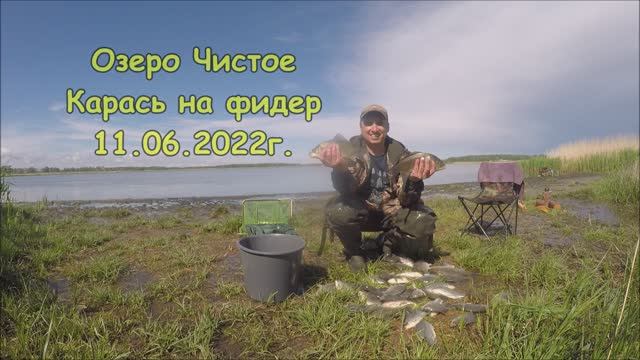 Караси кабаны на фидер. Озеро Чистое 11.06.2022г.