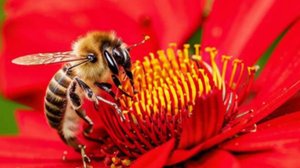 Истории из жизни - Внезапный подарок судьбы, счастье за поворотом...