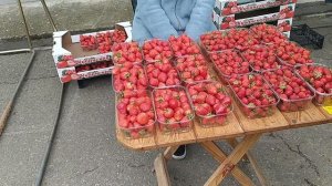 Цветущий рынок Каневской станицы: Обзор местных продуктов и достопримечательностей