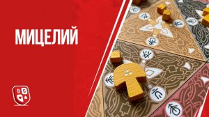 Обзор настольной игры Мицелий