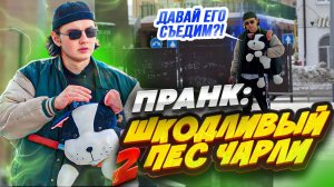 НЕСНОСНЫЙ ПЕС ЧАРЛИ 2