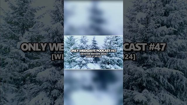 Nelver - Only Weekdays Podcast #47 (Winter Edition 2024) ... #shorts