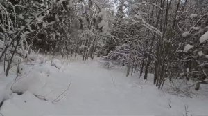 ИРБИС ТУНГУС ИСПЫТАНИЕ ПО ГЛУБОКОМУ СНЕГУ