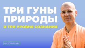 Три гуны природы и три уровня сознания - оптимист, пессимист и реалист