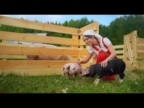 Рекламный ролик для БП / реклама / актеры