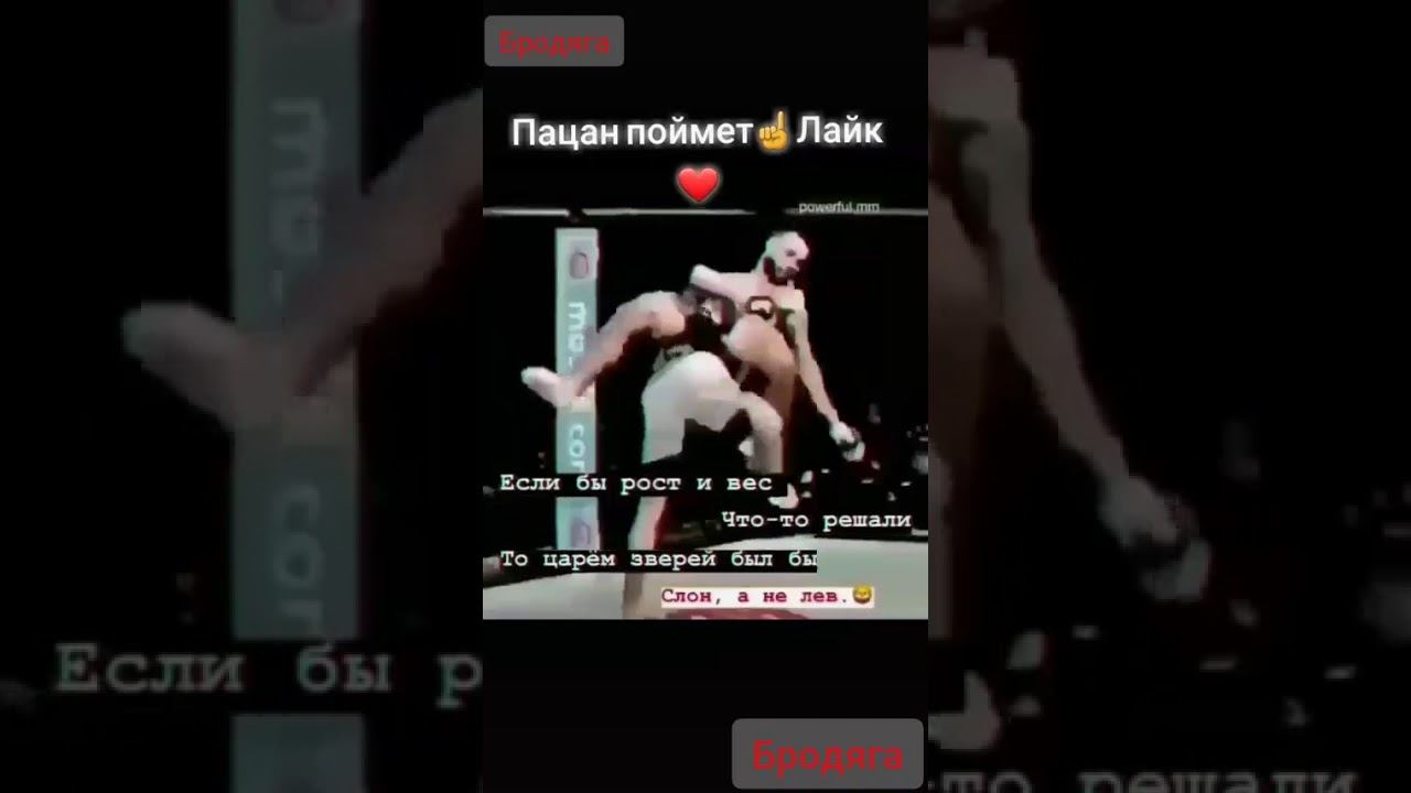 Цитата из жизни смотреть онлайн