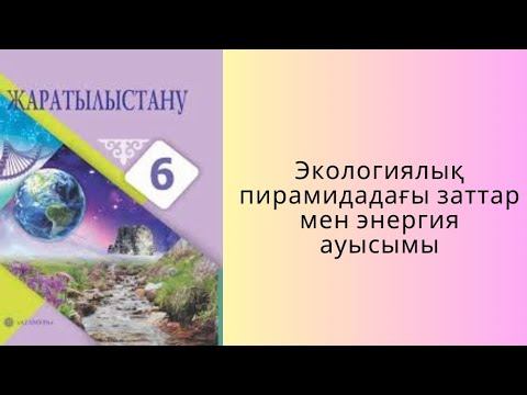 Экологиялық пирамидадағы заттар мен энергия ауысымы