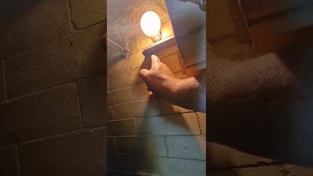 лампочка в мангале не плавится