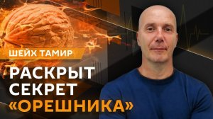 Шейх Тамир. Секрет «Орешника», минирование мостов, арест Нетаньяху