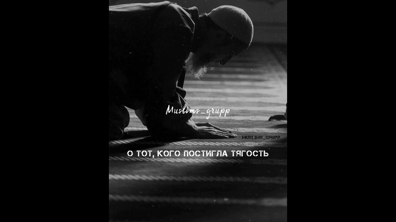 О тот,кого постигла тягость....#islam #nashed #nasheeds #kuran #newnasheed смотреть онлайн