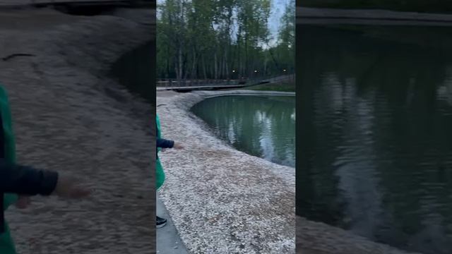 Шумбрат Москоу