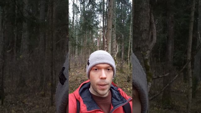 На золотом крыльце сидели: ПМ, аналитик и программист ... | Ошибки в позиционировании на IT-рынке