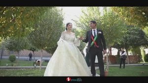 Езидская свадьба / Dawata Ezdia /Davit & Xatun / Wedding Day