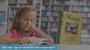 "Нильс с дикими гусями" обзор сказки