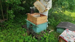 снимаем магазин с мёдом