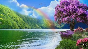 Miss Monique - Veselka