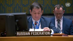 Statement by First Deputy Permanent Representative Dmitry Polyanskiy at a UNSC briefing on Haiti