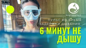 КАК ЗАДЕРЖКА ДЫХАНИЯ В ВОДЕ ВЛИЯЕТ НА ПУЛЬС ЧЕЛОВЕКА? | Статическое апноэ | Фридайвинг