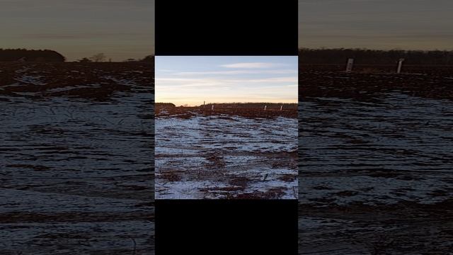 ЗАКАТ СОЛНЦА ВРУЧНУЮ 2 - 25 10 2024