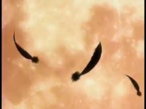 Ameno - Chrno Crusade