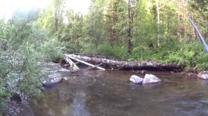 рыбалка с друзьями