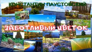 АУДИОКНИГА ,,ЗАБОТЛИВЫЙ ЦВЕТОК,,КОНСТАНТИН ПАУСТОВСКИЙ