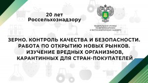 Зерно. Контроль качества и безопасности. Работа по открытию новых рынков.