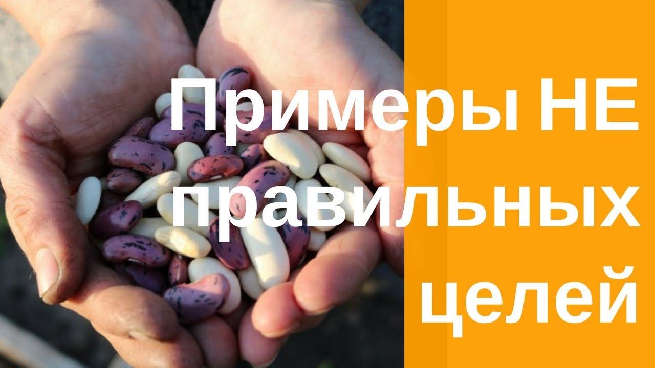 Целеполагание Достижение целей Примеры не правильных целей
