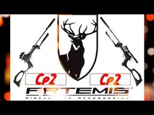 Artemis cp2 the second video