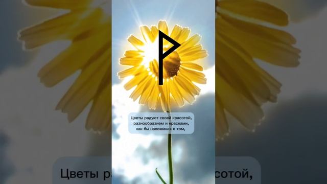 Руна Вуньо и ее астрологический период #астромагия #магиярун #вуньо