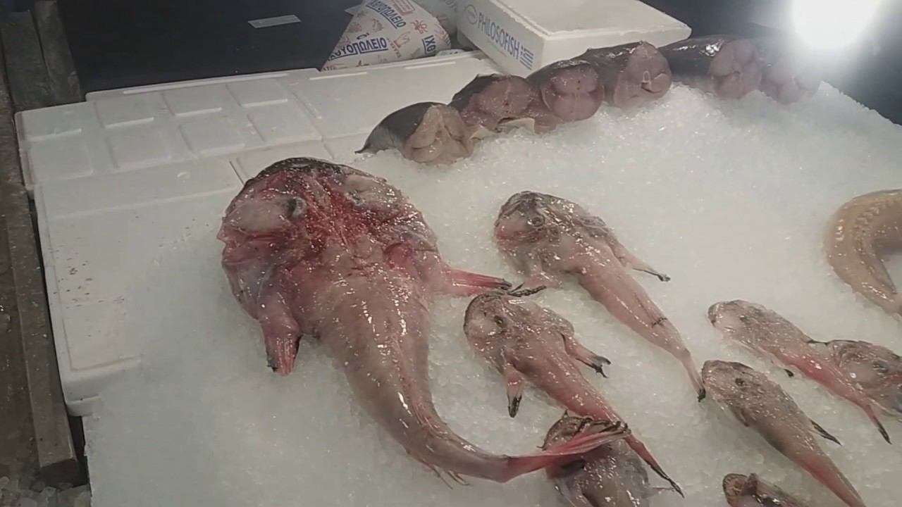 Греция глазами Пчеловода ч 1