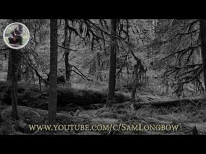"ТАЁЖНАЯ ЖУТЬ" мистическая история на ночь