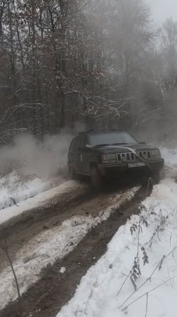 ДЕВУШКА ЗА РУЛЕМ JEEP'а