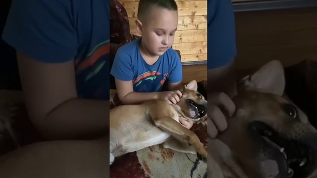 Английский за месяц для детей #английскийдетям #английскийдлядетей #английскийснуля