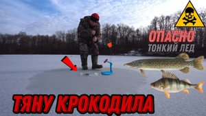 МОЯ САМАЯ ЛУЧШАЯ РЫБАЛКА НА ЖЕРЛИЦЫ. ВОТ ЭТО ПЕРВЫЙ ЛЕД ТВОРИТ ЧУДЕСА. ЩУКА КЛЮЁТ КАК ДУРНАЯ.