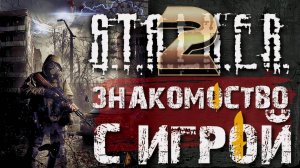 S.T.A.L.K.E.R. 2: Heart of Chernobyl /// ВЕТЕРАН ▶ Погружение в атмосферу ▶ Стрим 04