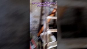 Из подвала журчало.