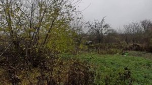 25.11.Анапа. Покраска тележек для СВО.