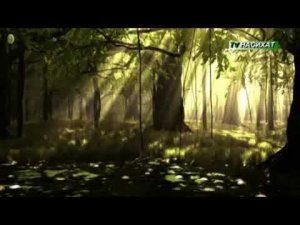 История четырёх лучших подруг