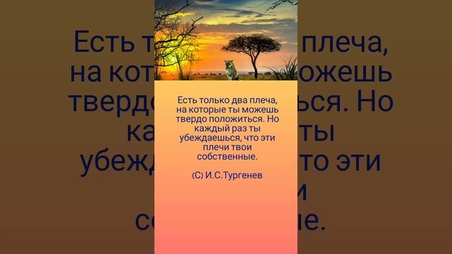 Есть только два плеча... 🤗🌺🌿