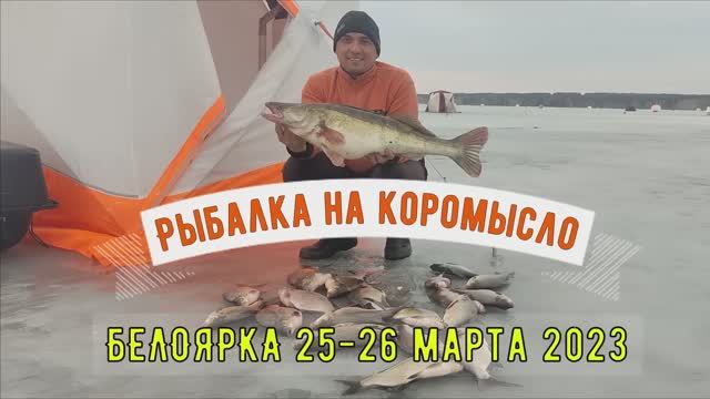 Судак на 5кг и лещи на коромысло. Белоярка 25-26 марта 2023