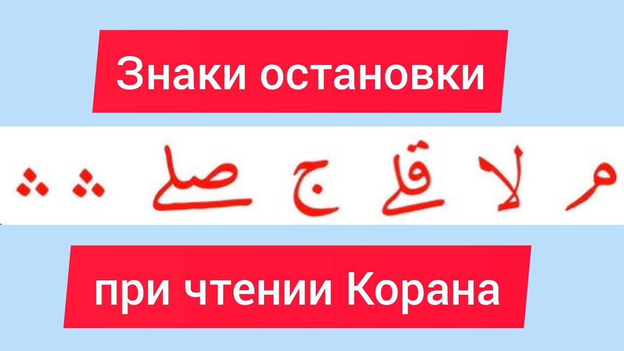 Учимся читать Коран правильно! Знаки остановки #коран #таджвид #чтениекорана #tajweed #quran #new