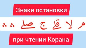 Учимся читать Коран правильно! Знаки остановки #коран #таджвид #чтениекорана #tajweed #quran #new