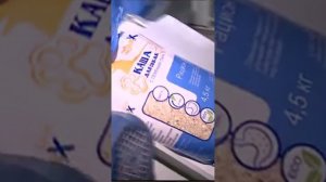 Как один пёс изменил судьбу тысяч собак