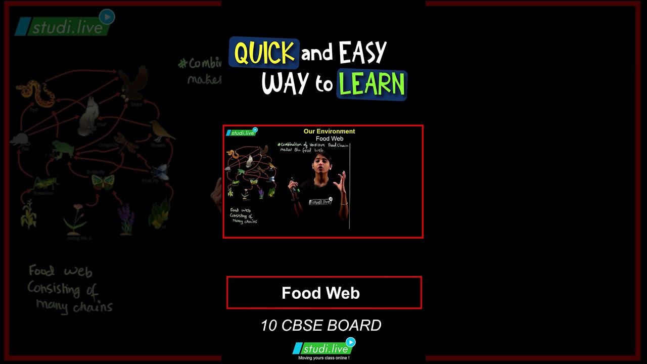 Food Web || Our Environment || #exams #neet  #preperation #education #sciencefacts