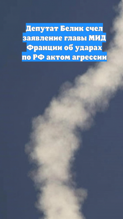 Депутат Белик счел заявление главы МИД Франции об ударах по РФ актом агрессии