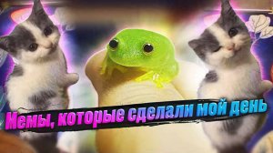 Мемы есть мемы  #приколы  #мемы  #мем  #юмор  #лютыеприколы