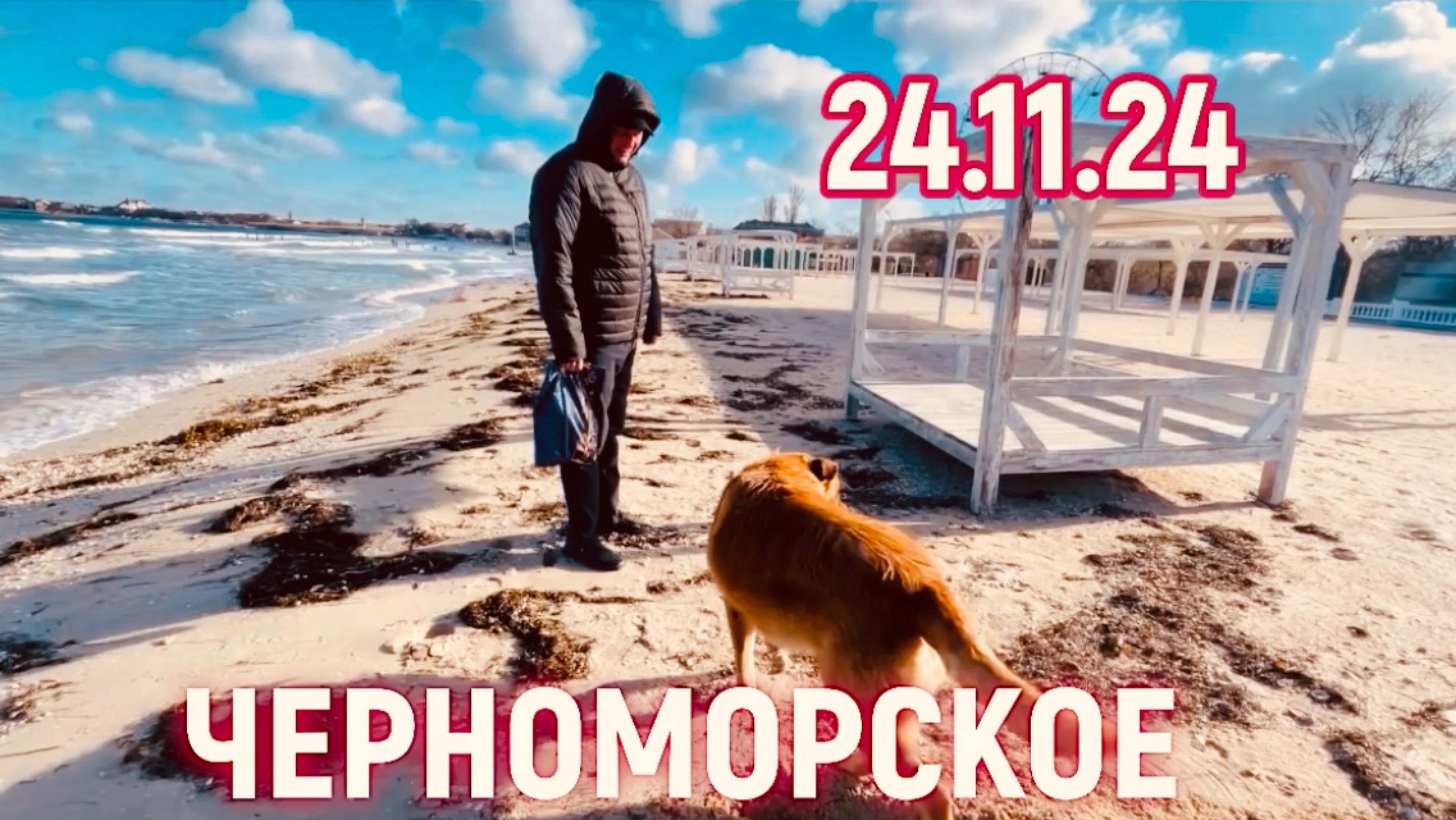 24.11.24 ЧЕРНОМОРСКОЕ. Кто вокруг нас? Будем добрее 🙏💖